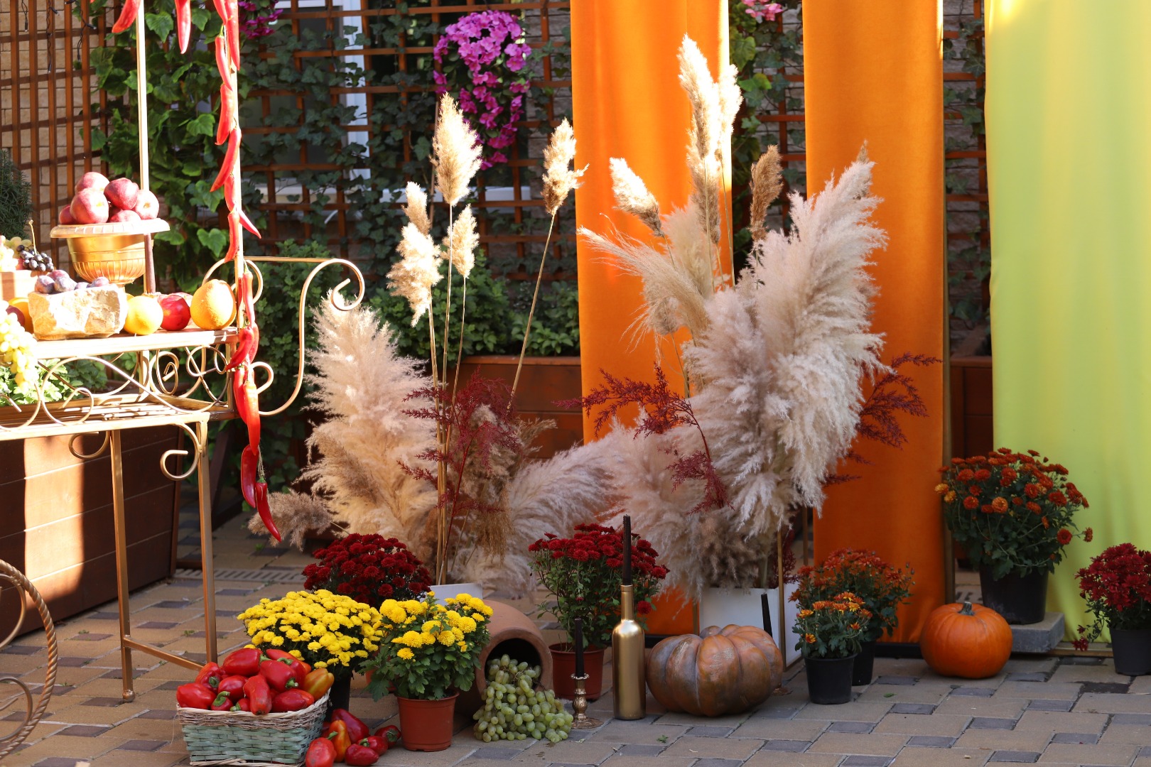 Фотогалерея